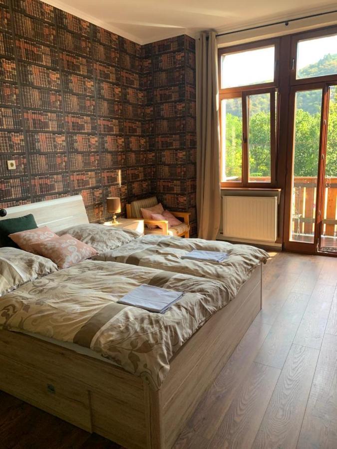 Hotelzimmer Im Alten Reihenhaus Auf Der Stadtmauer Bacharach Extérieur photo